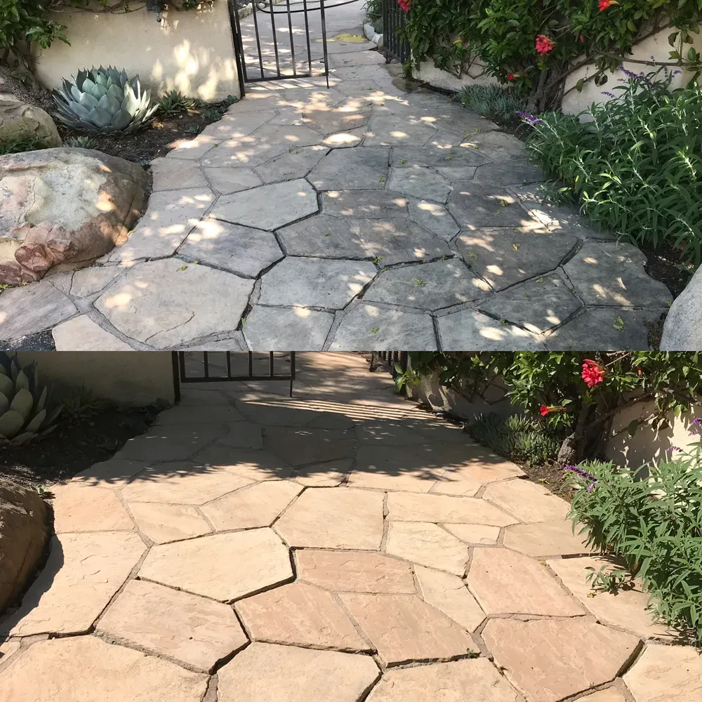 Flagstone walkway before and after soft washing, grime lifted to reveal the original warm stone color